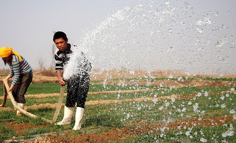 灌溉浇水_看图王.jpg